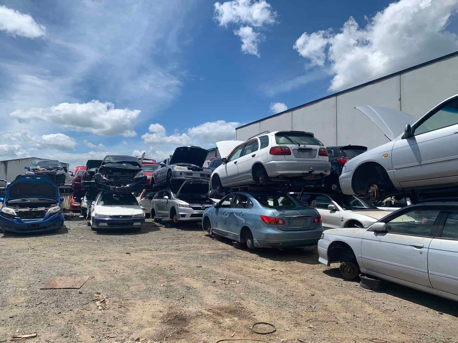 Scrap car yard in Rotorua with multiple vehicles ready for recycling